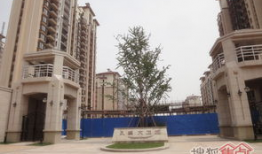 大卫城,古以色列的辉煌与传奇